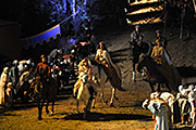 La Bataille de Castillon