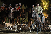 La Bataille de Castillon