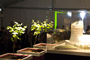 Première pierre - Cité des Civilisations du Vin