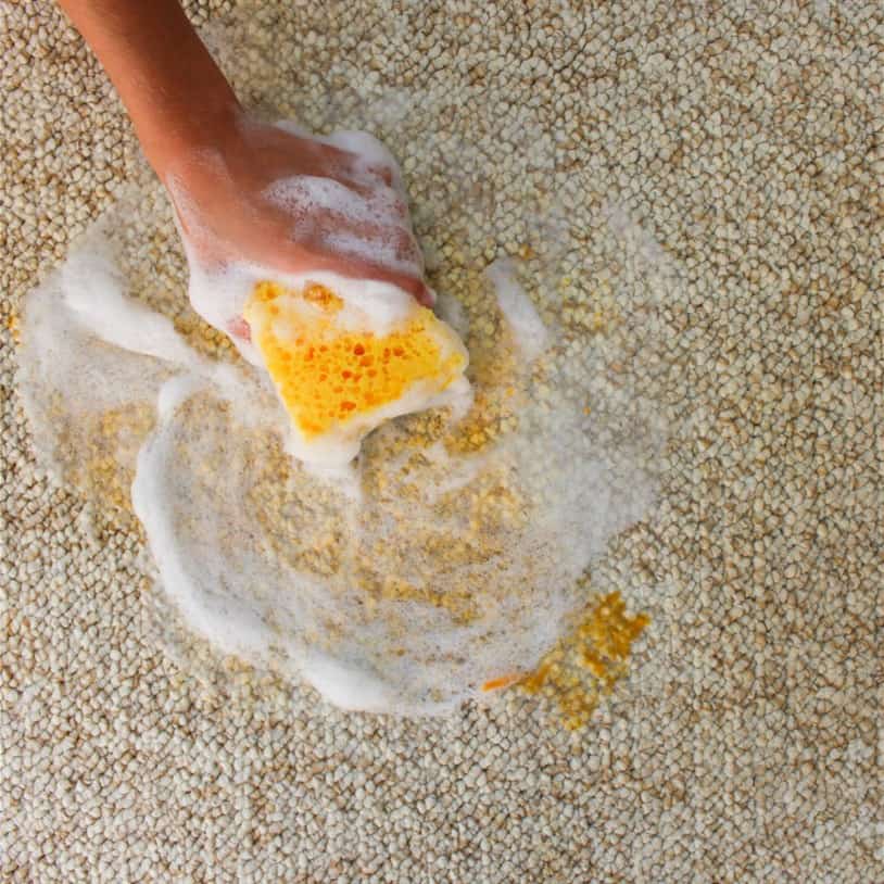 Dishwashing Detergent Solution