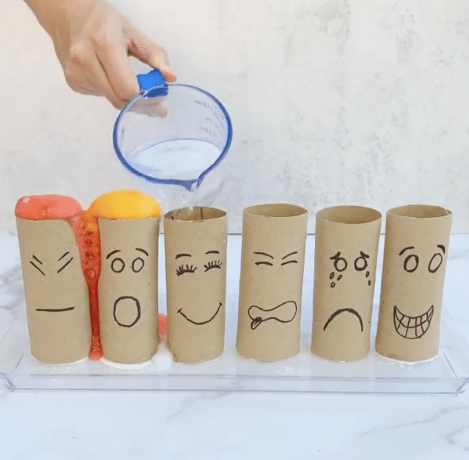 Emotions Science Project