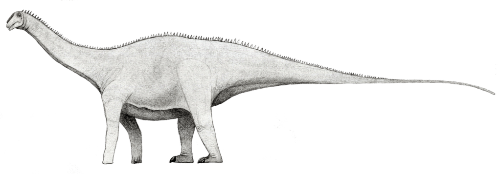 Xenoposeidon