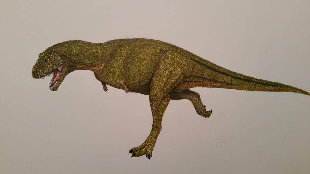 xenotarsosaurus_by_spinosaurus1