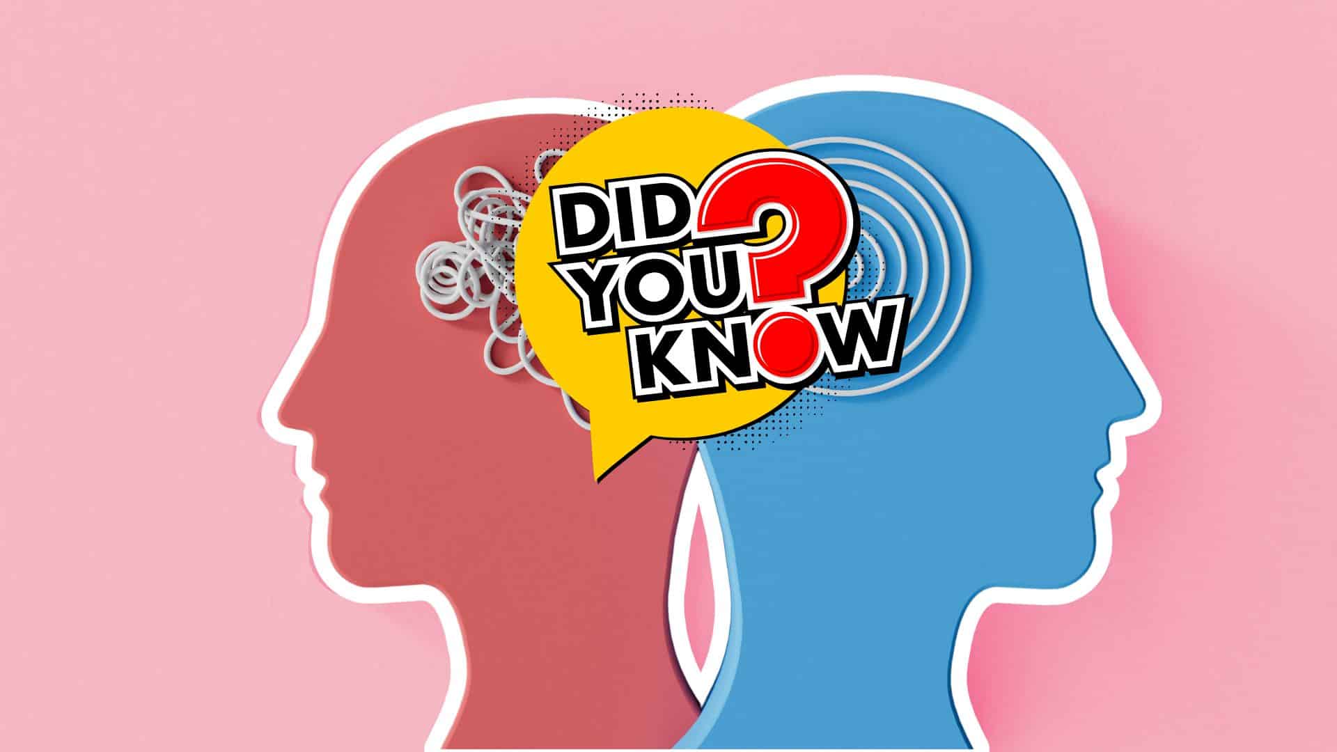 161+ Fun Psychology Trivia Facts You Didn't Know Meredith Plays