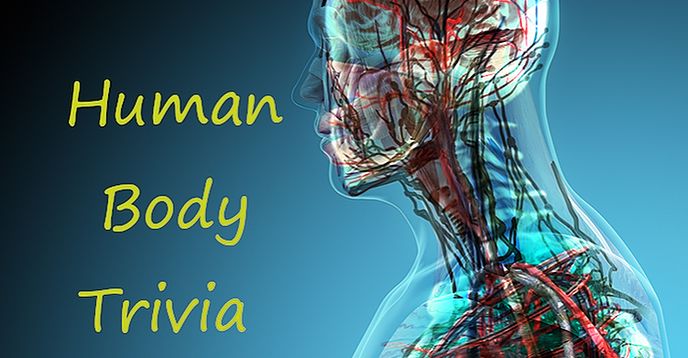 Surprising Human Body Trivia Questions & Answers