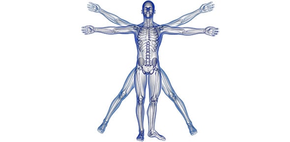 the human body produce red blood cells in a day