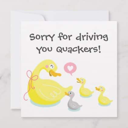 Holiday Duck Puns