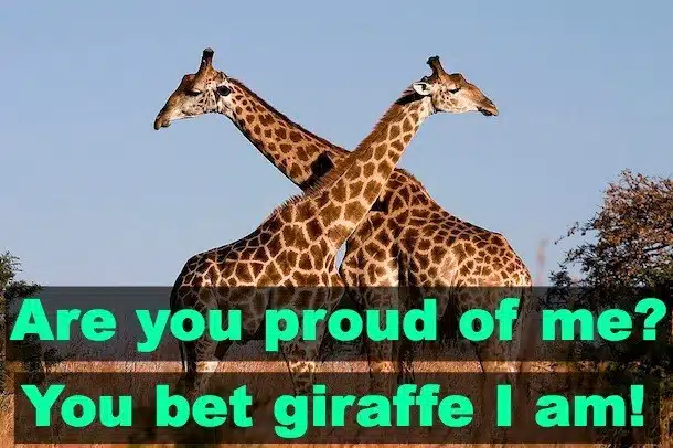 Animal Kingdom Giraffe Puns