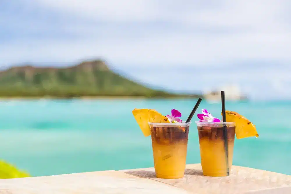 Hawaii Puns