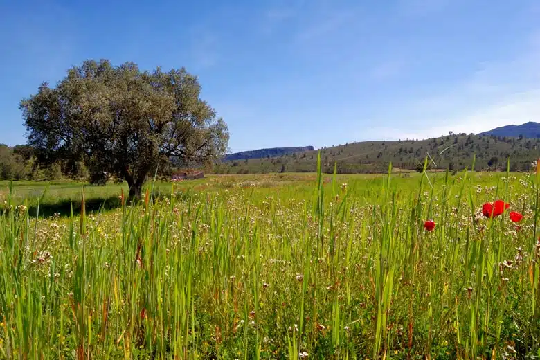 General Facts About April Weather