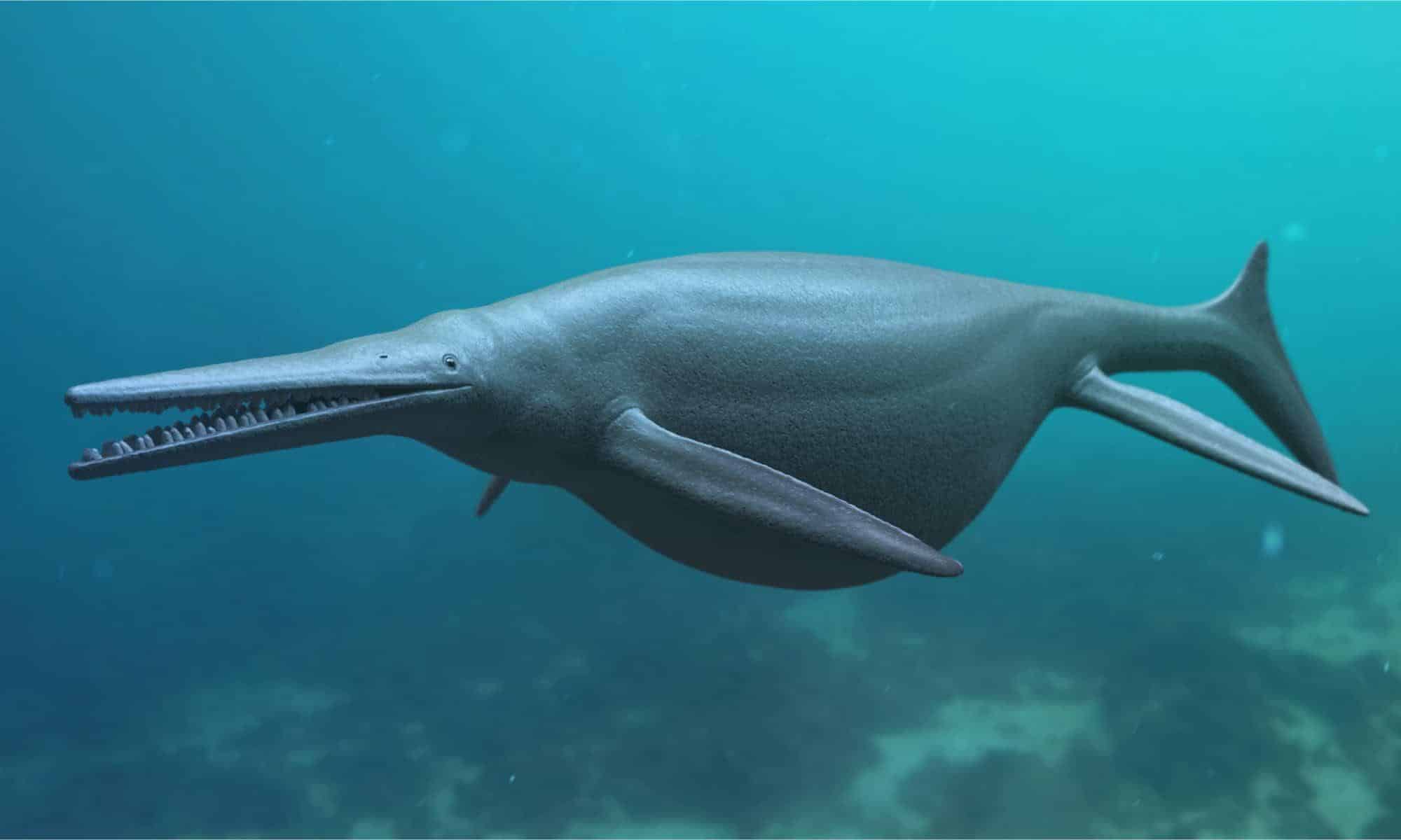 Ichthyosaurus