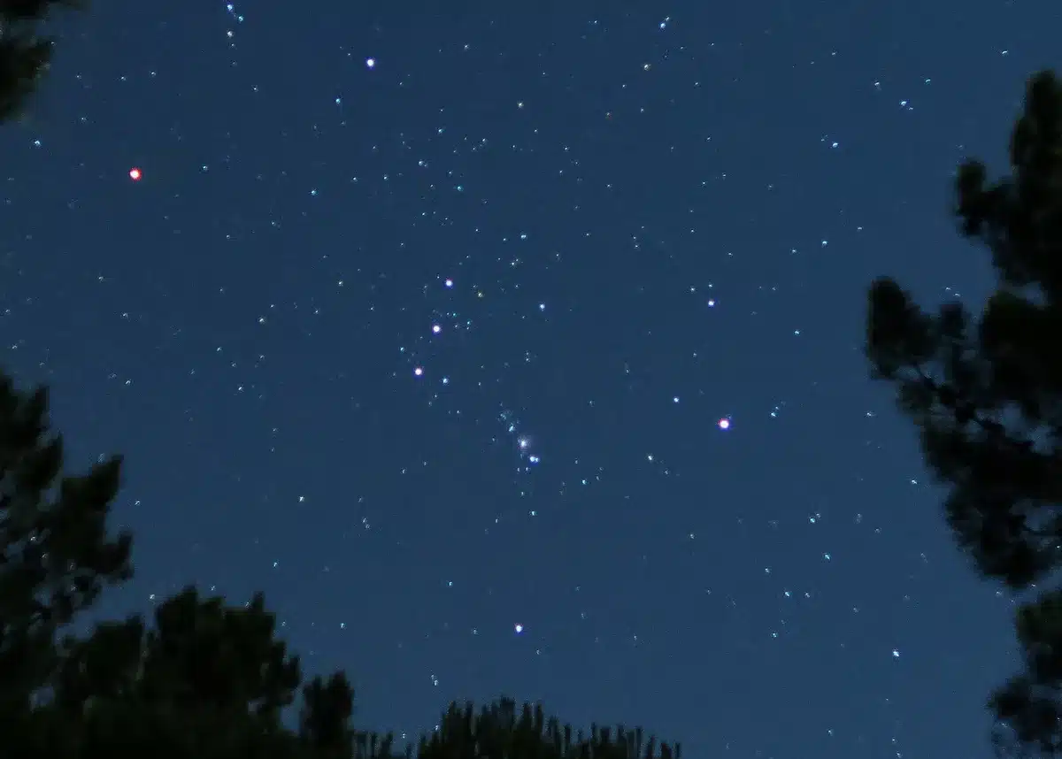 Orion