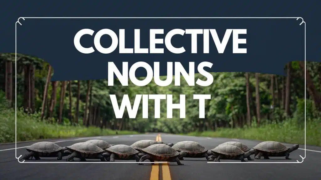 Collective Nouns