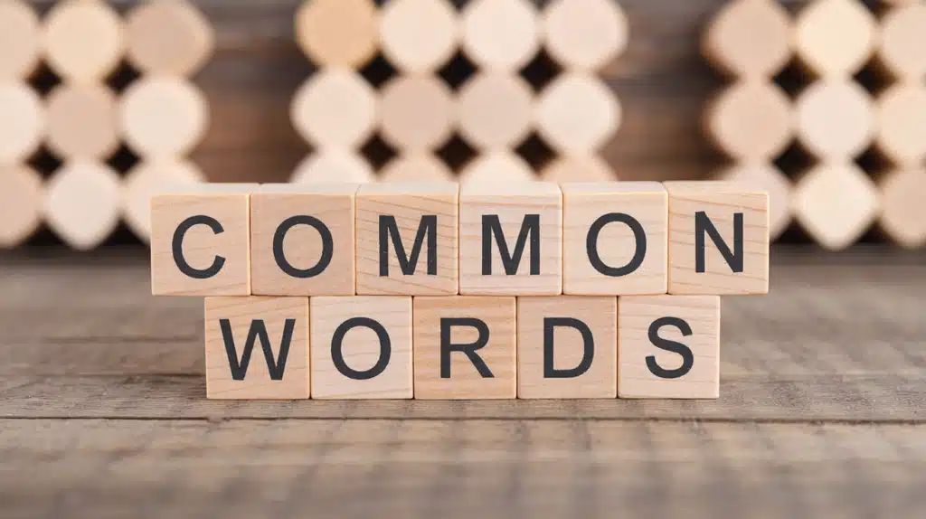 Commonly Used V Words in Literature