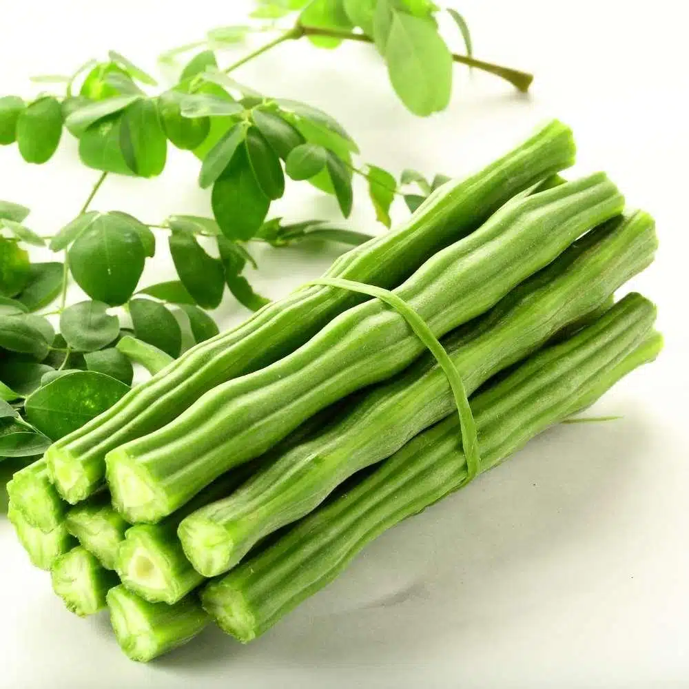 Drumstick_Moringa