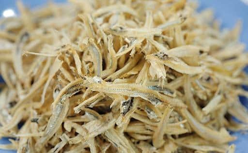 Ikan_Bilis
