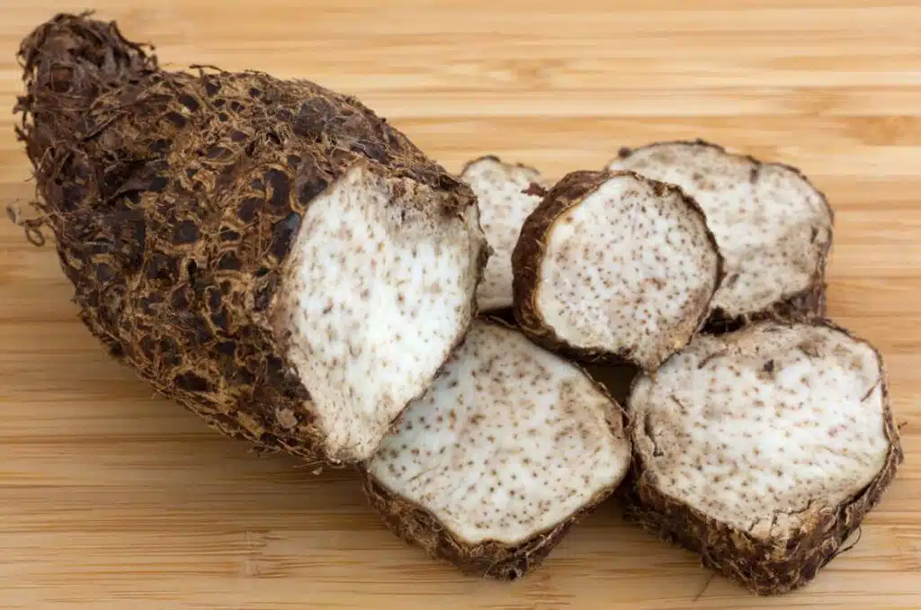 Malanga