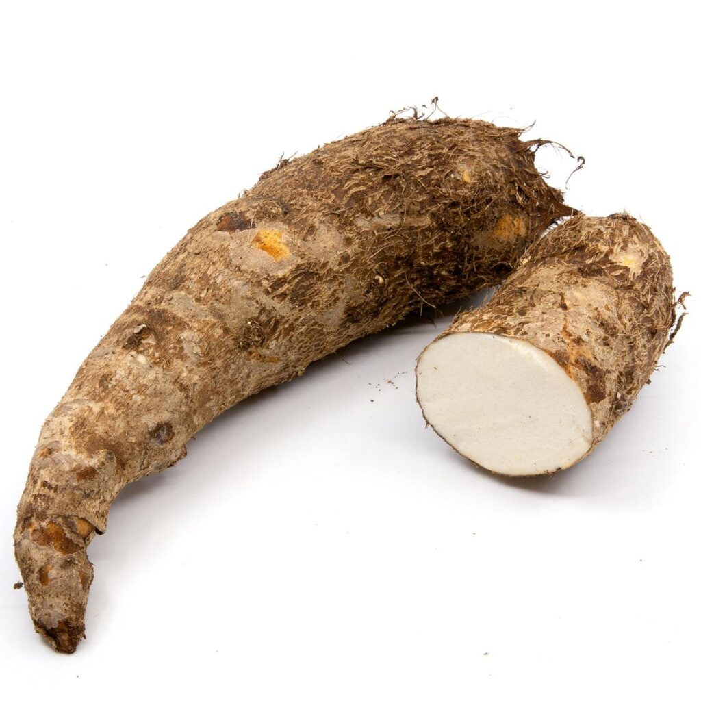 Malanga_Blanca
