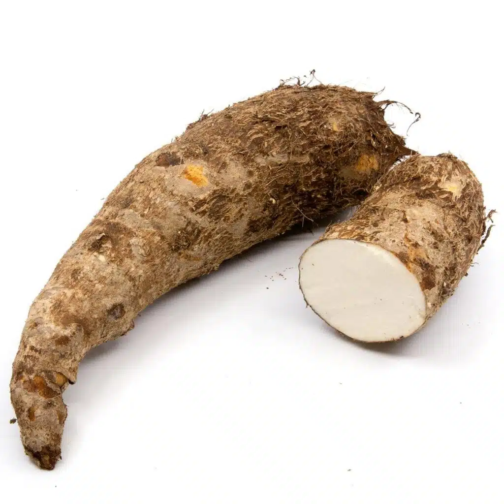 Malanga_Blanca