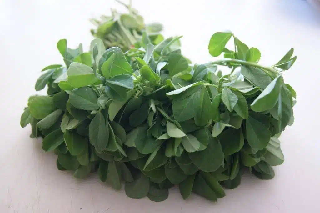 Methi_Fenugreek