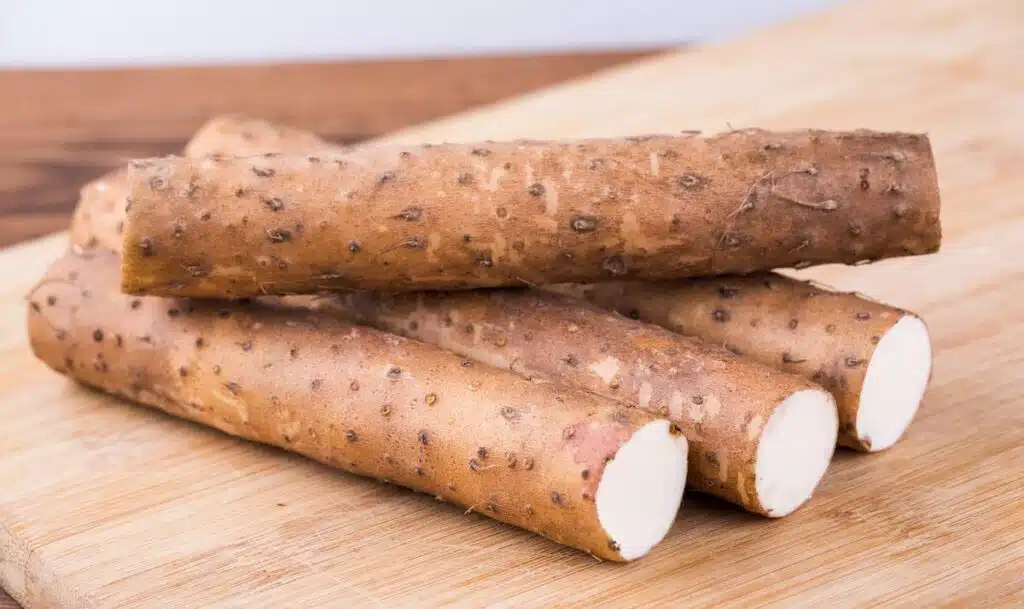 Mountain_Yam