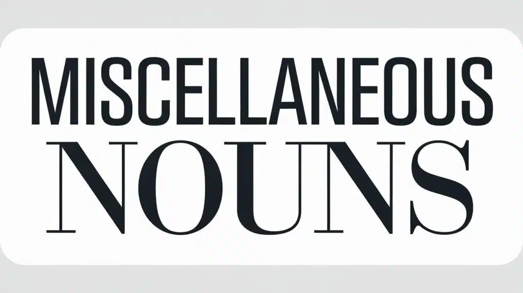 Objects and Miscellaneous Nouns