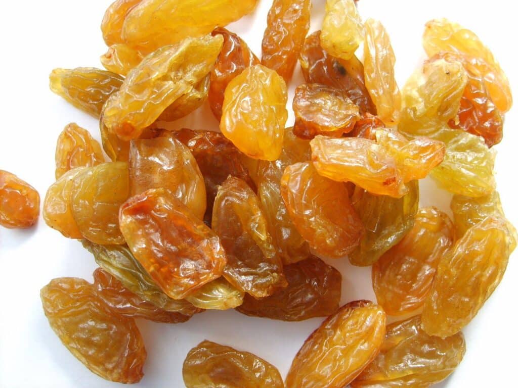 Raisin_Grape