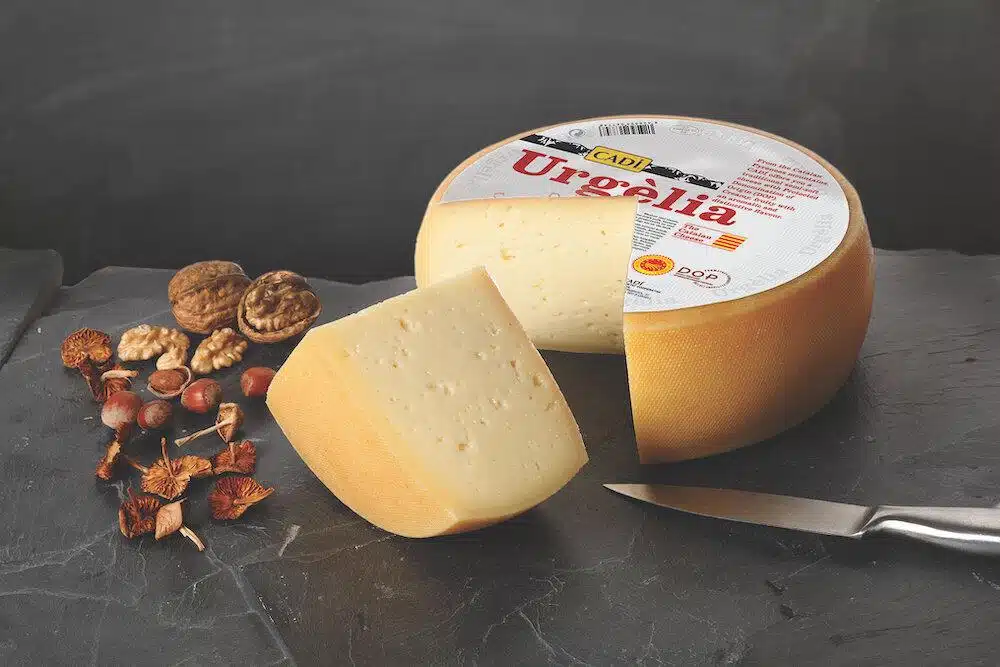 Urgelia_Cheese