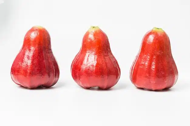 Wax_Apple