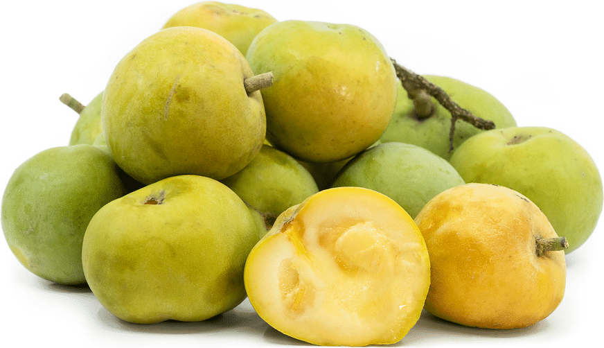 White_Sapote