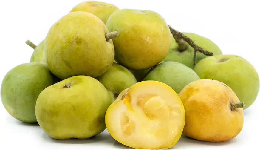 White_Sapote