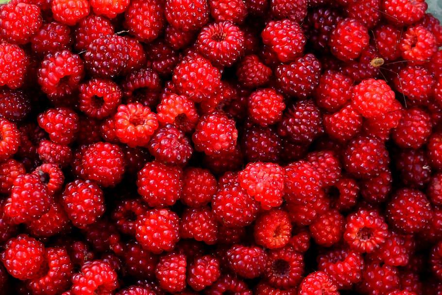 Wineberry