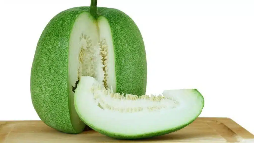 Winter_Melon