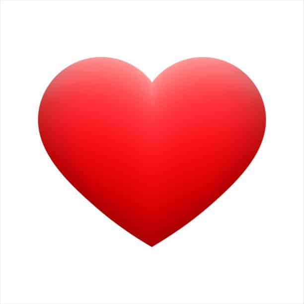 Heart