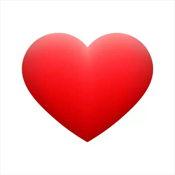 Heart
