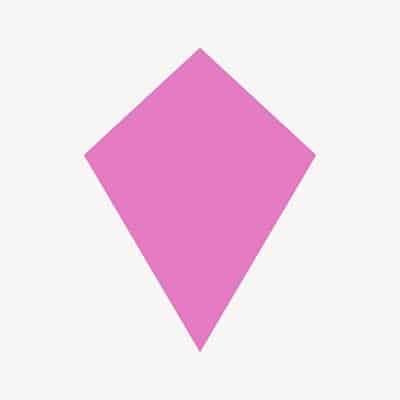 Kite