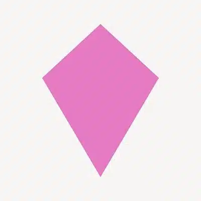 Kite