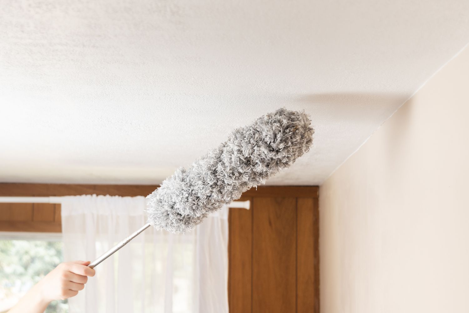 Gather Necessary Cleaning Materials