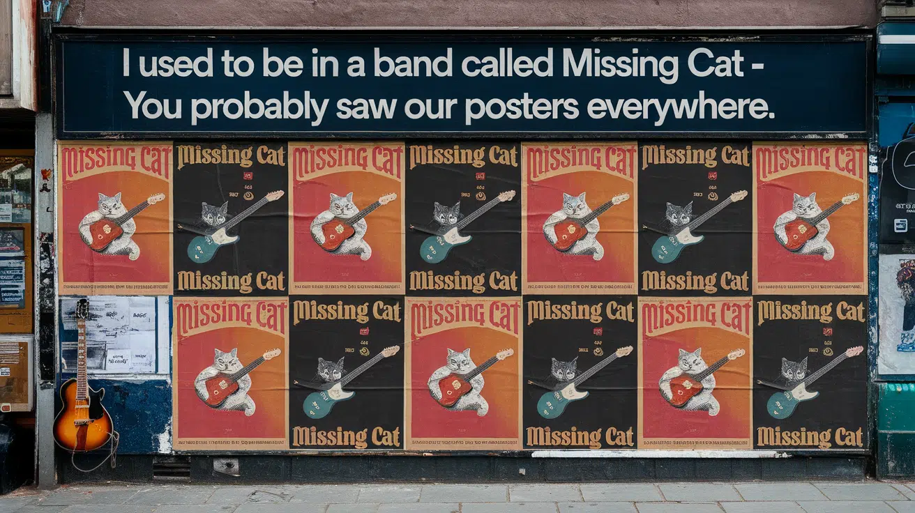 I_used_to_be_in_a_band_called_Missing_Cat_you_probably_saw_our_posters_everywhere