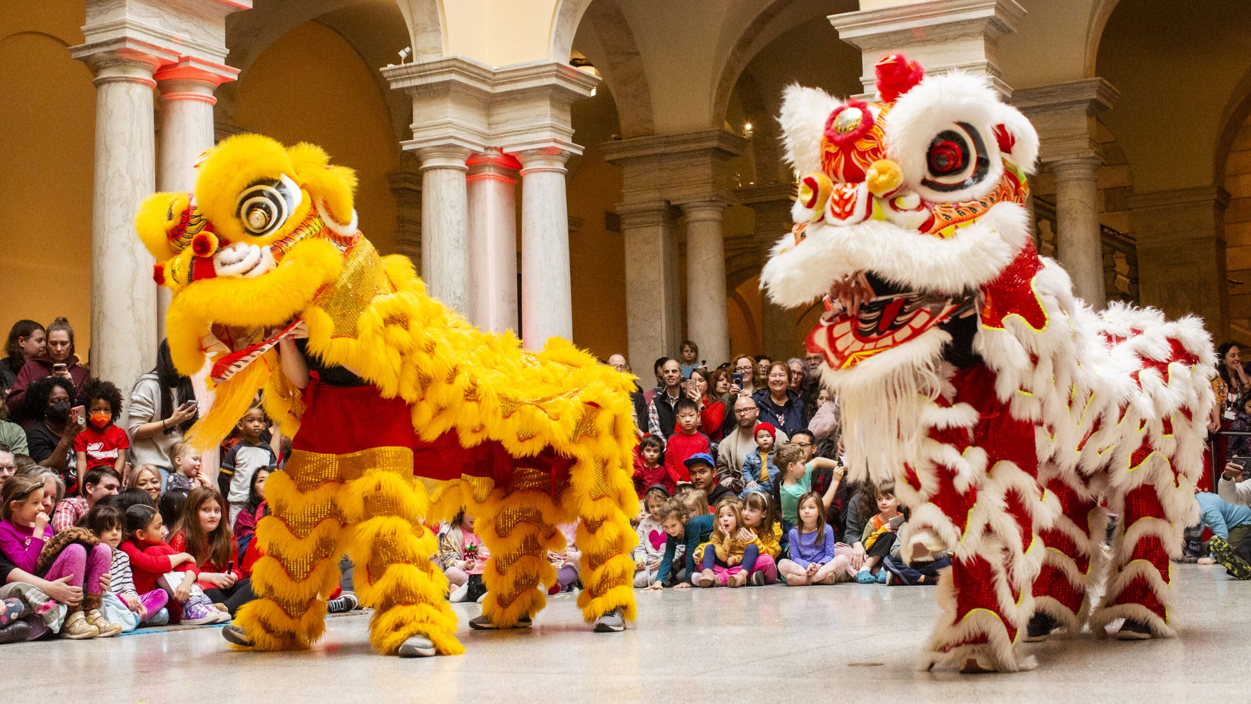 The Lunar New Year Celebration