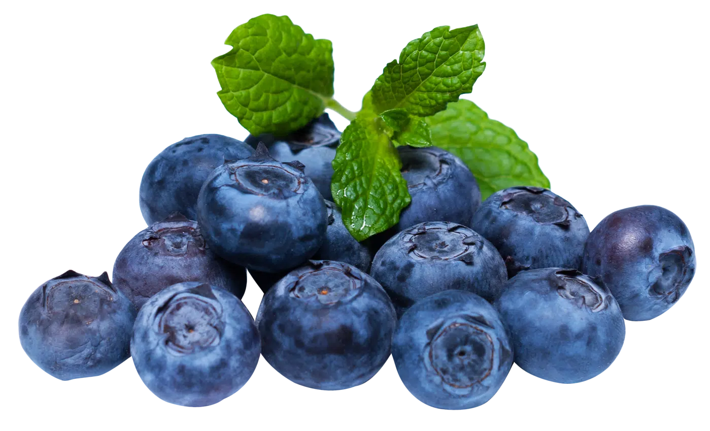 Blueberry