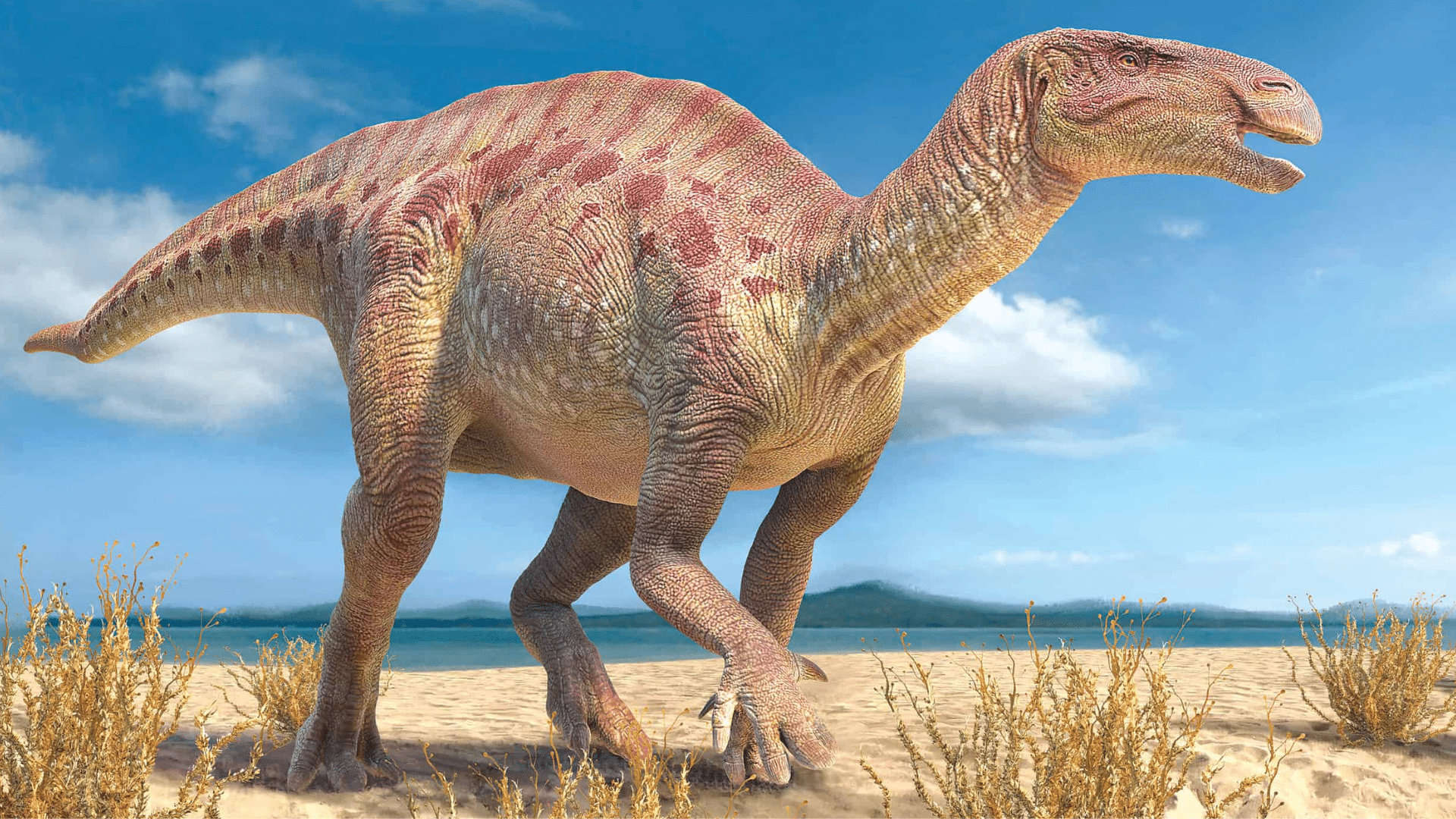 Iguanodon