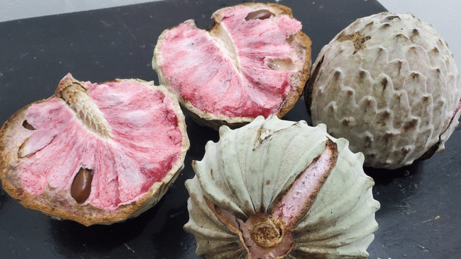 Ilama_Fruit