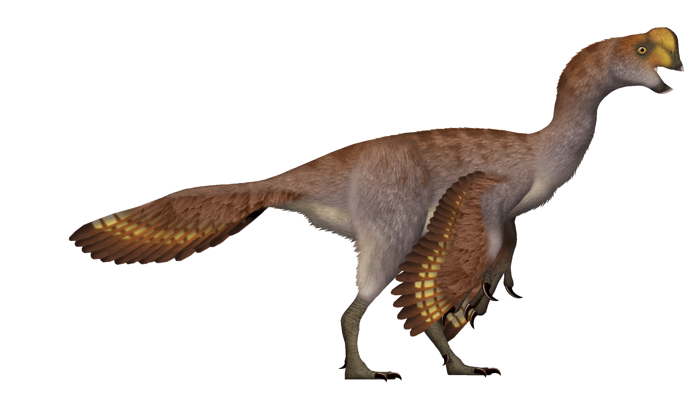 Oviraptor