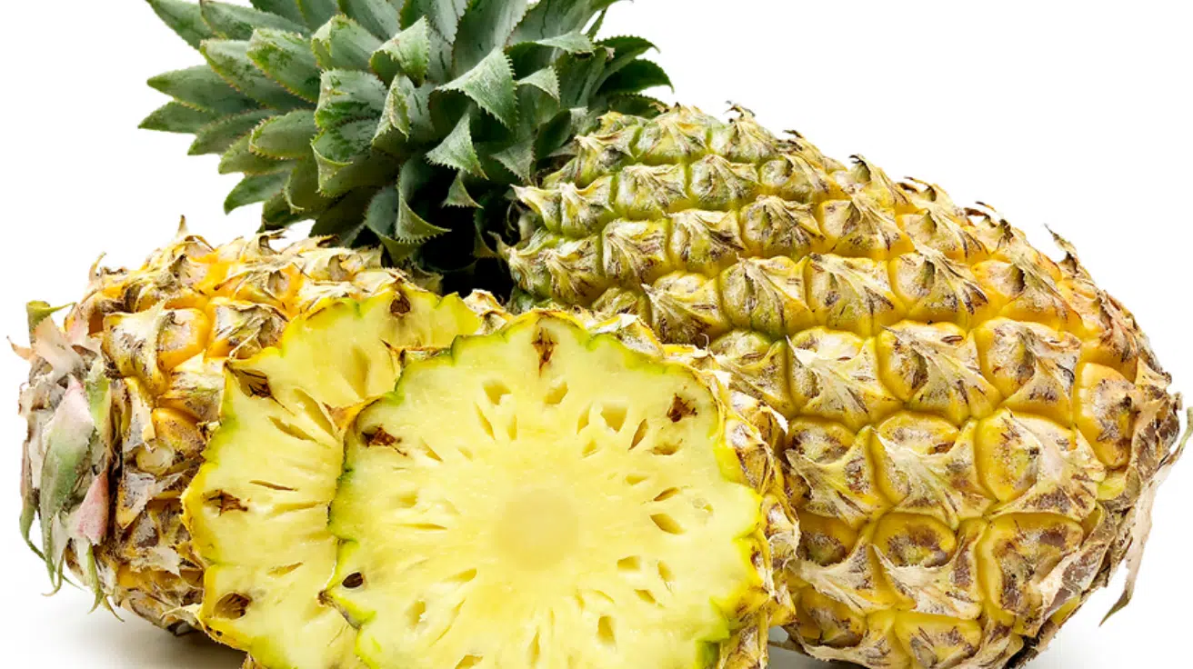 Queen_Tahiti_Pineapple