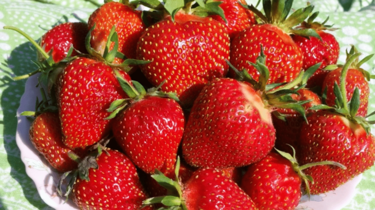 Queens_Strawberry