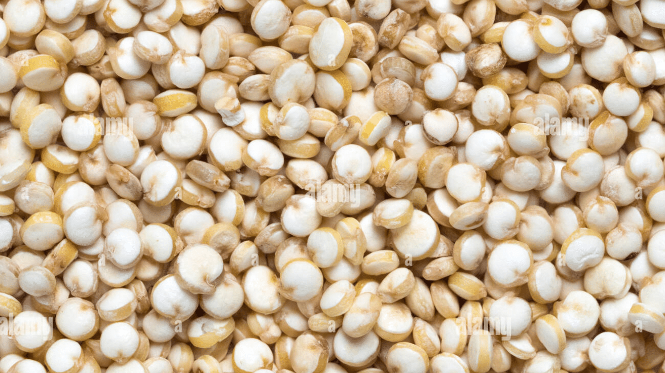 Quinoa_Fruit