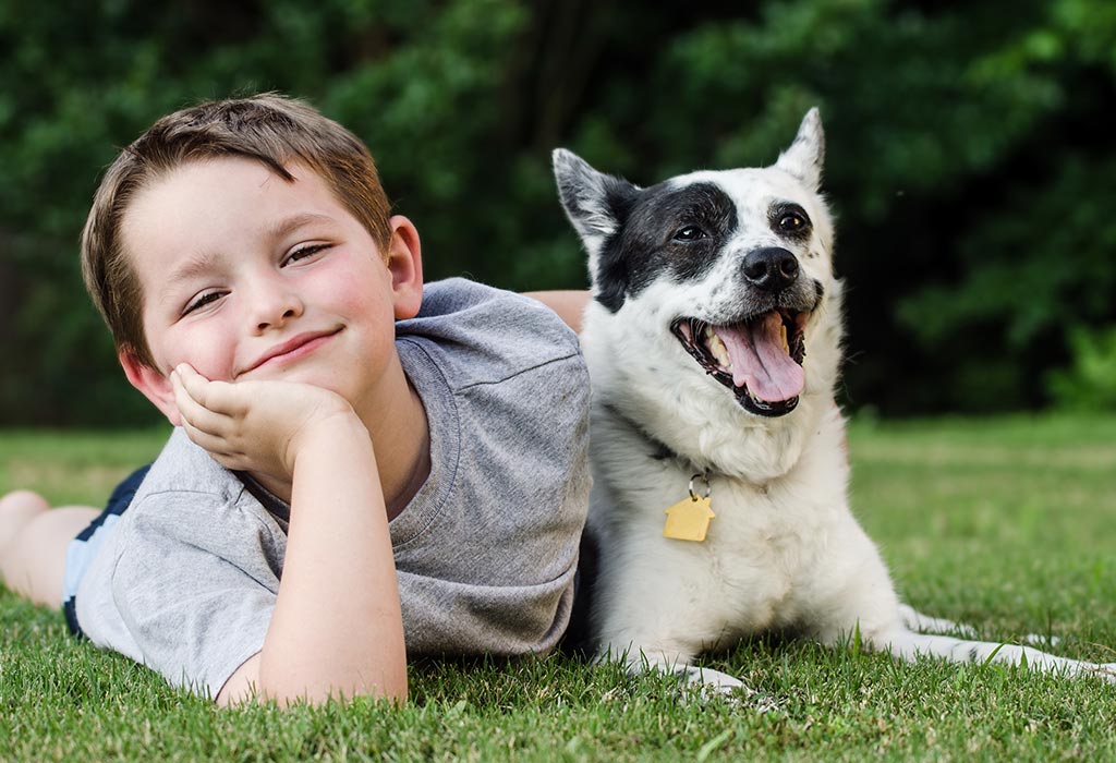 Safely Introduce the Dog to Your Children