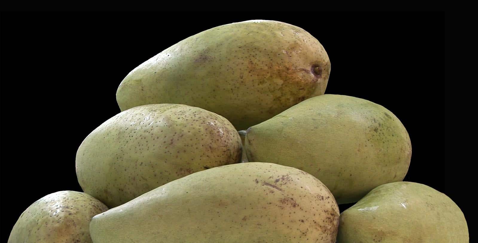 Saigon_Mango