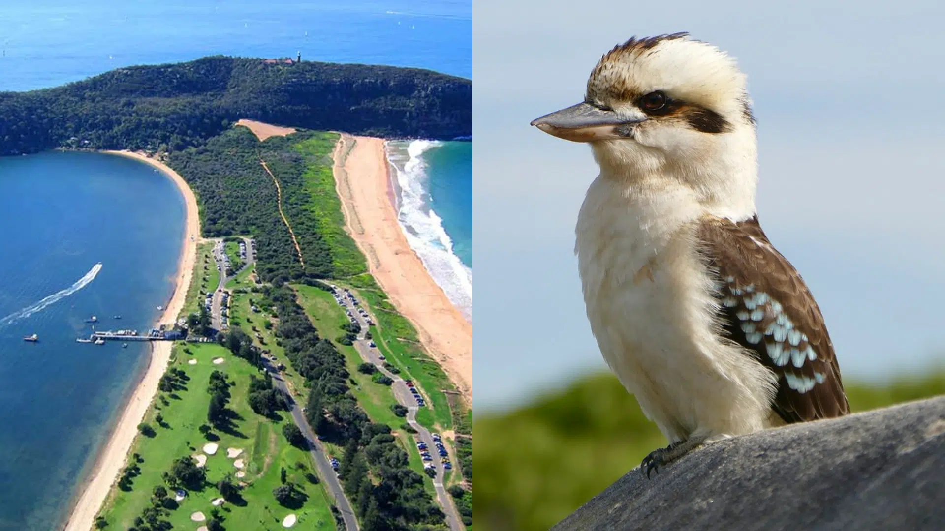 Sydney_Facts_on_Wild_Beauty__Natural_Wonders